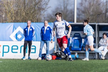 Bild 174 - F Hamburger SV 3 - Blau-Weiss 96 : Ergebnis: 5:1
